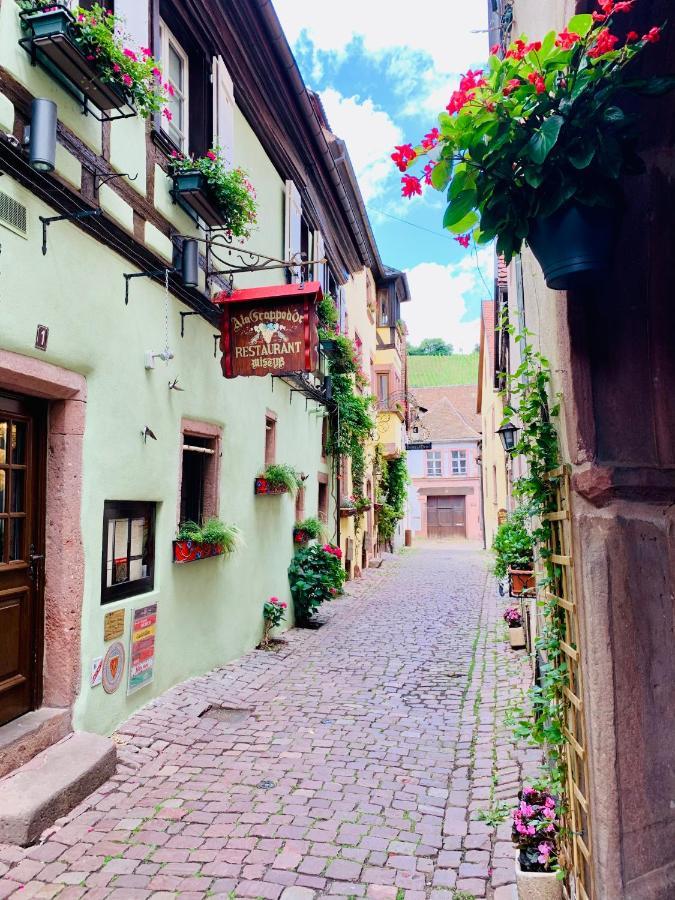 La Ruelle Alsacienne, Charme Alsacien Et Confort Moderne รีควีร์ ภายนอก รูปภาพ