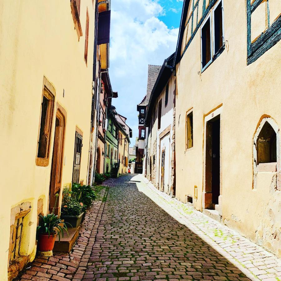 La Ruelle Alsacienne, Charme Alsacien Et Confort Moderne รีควีร์ ภายนอก รูปภาพ